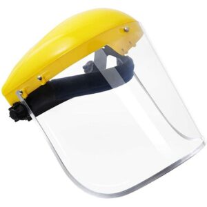 Face Shield